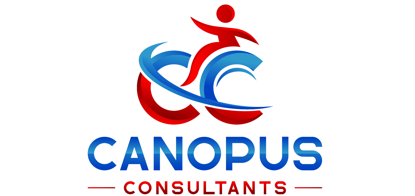 Canopus consultants